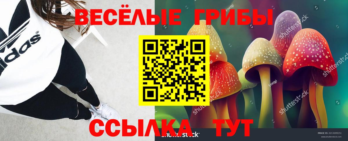 даркнет сайт  Галлюциногенные грибы Magic Shrooms  Галлюциногенные грибы прущие грибы  Вход с VPN  Надым 